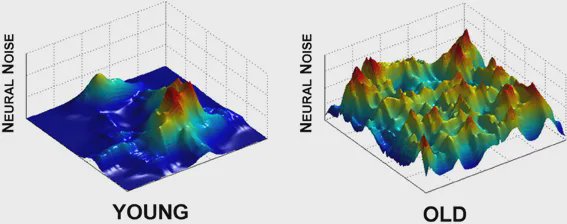 Effect of aging on neural noise modulation in motor control